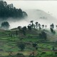 Kodaikanal Sightseeing Photos